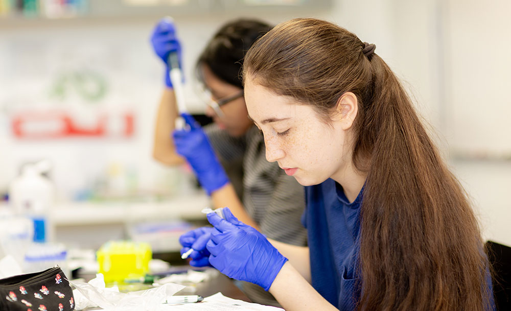 A student wearing bright blue latex gloves holds a pipette in one hand and studies the chemicals in the small flask in her other hand during a science class experiment.